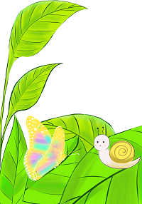 蜗牛蝴蝶